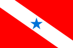 Bandeira do Estado do Pará